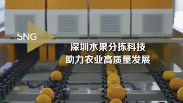 深圳科技实现水果分拣智能化