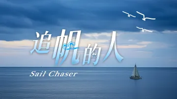 深圳乘风破浪的姐姐来了