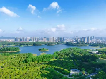 集思广益探讨APEC会议期间“来深圳看什么” 把“看什么”变成“看不够、还想来”