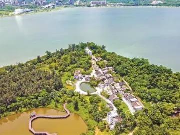 深圳持续书写人与自然和谐共生崭新答卷