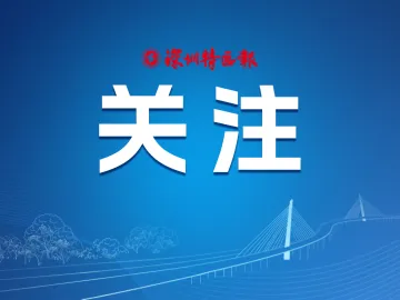 双线捷报！深圳代表团省运会艺术体操、马术项目斩获佳绩