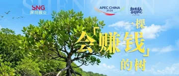一棵会“赚钱”的树