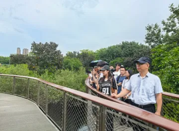 媒体代表团走进前海，沉浸式走访“一半山海一半城”