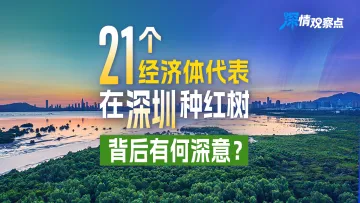 深情观察点 | 21个经济体代表在深圳种红树，背后有何深意？