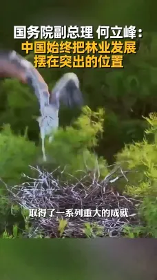 国务院副总理何立峰：中国始终把林业发展摆在突出的位置
