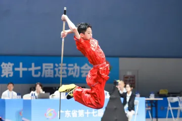 省运会深圳武术队夺4金6银4铜，女篮甲组获亚军