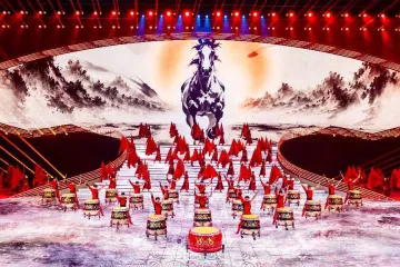 倒计时10天！省运会开幕式蓄势待发，“生命之树”根植茂名