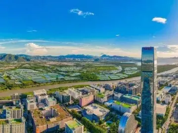 摆脱个人化、短期化和形式化的政绩冲动丨理论周刊