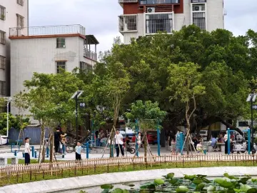 聚焦“百千万工程”｜闲置“边角地”改造焕新“飘荷香”，汕头市龙湖区泰龙社区人居环境提档升级
