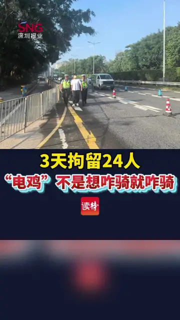 3天拘留24人！“电鸡”不是想咋骑就咋骑