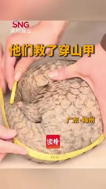 深夜国道上的“邂逅”：警民接力救助“森林卫士”