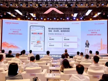 校企同频，全链共振：解码湾区500强领头羊的育才新生态