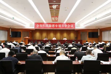 深圳召开全市扫黑除恶专项斗争会议