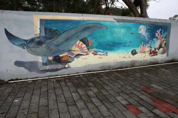 高校青年突击队“海洋+非遗”艺术涂鸦为深圳大鹏半岛添彩