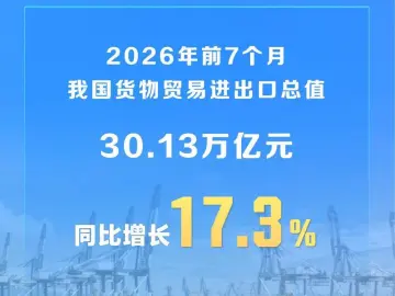 前7个月我国货物贸易进出口超30万亿元，同比增长17.3%