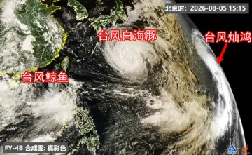 台风“白海豚”登陆后会否北上？将影响哪些地方？