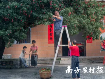 把农业品牌立在岭南大地上丨广东农产品品牌建设十论①