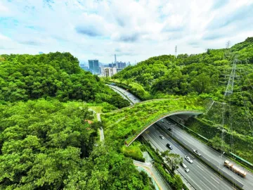 一座座“动物桥”连通山海城,深圳为国际社会贡献生物多样性治理“中国方案”