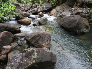 别只去海边了!来杨梅坑溪谷溯溪,一路看古火山奇观