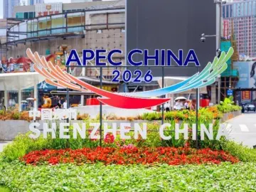 当好东道主 喜迎APEC|桥下空间成了“人宠共融”乐活地