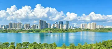 深圳中心区,正长出一座“会呼吸”的香蜜湖公园