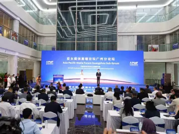 李小瑛：粤港澳大湾区以三大优势助力亚太合作新机遇