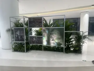 置身“热带雨林”，亚太媒体朋友看见“奇迹之城”的另一面