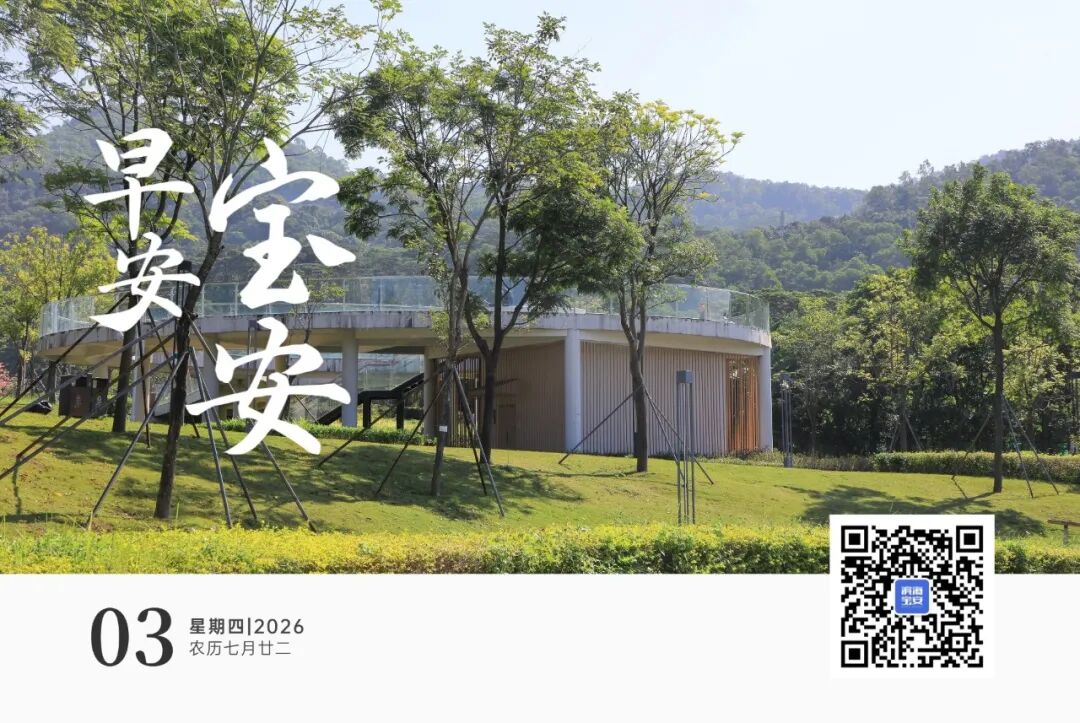 早安宝安头图.jpg