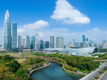 在深圳，看深圳、看湾区、看中国