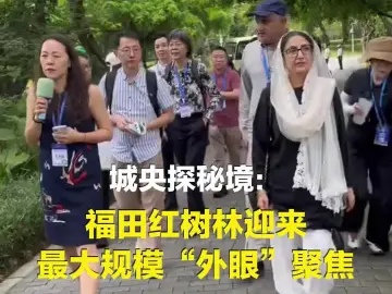 在深圳CBD探索一片秘境！福田红树林迎来最大规模“外眼”聚焦