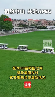 稻浪伴咖香！亚太媒体高端论坛嘉宾走访中山崖口村