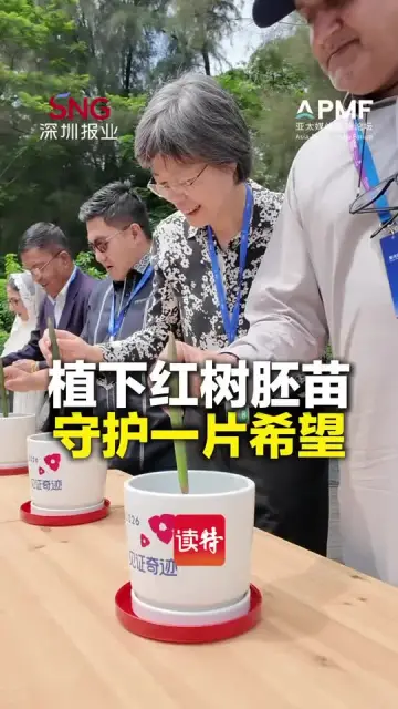 植下红树胚苗，守护一片希望