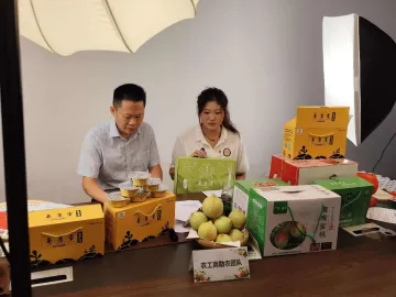 深圳电信驻村直播助农喜增收,数智赋能共绘乡村振兴新图景
