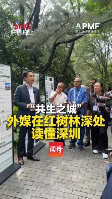 “共生之城”！外媒在红树林深处读懂深圳