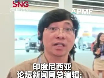 印度尼西亚论坛新闻网总编辑多穆阿拉·安巴里塔：看好新能源的未来趋势