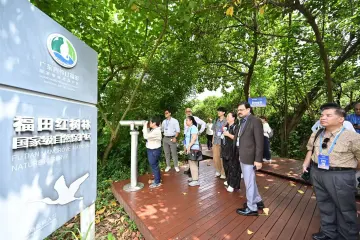 “共生之城”,奇迹!外媒在红树林深处读懂深圳