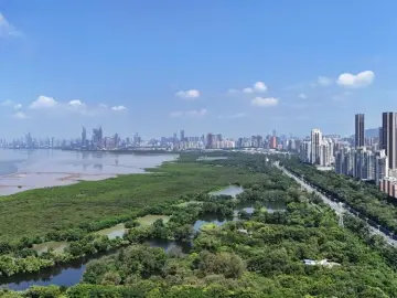 APEC“深圳时间”:创新之城定义亚太合作新坐标