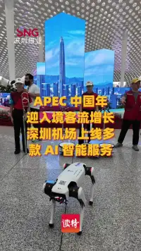 APEC“中国年”迎入境客流增长 深圳机场上线多款AI智能服务