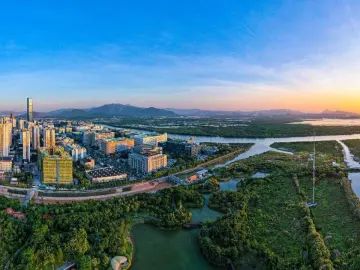 扶持政策精准浇灌 影视产业开花结果,深圳:数字时代的“造梦之城”