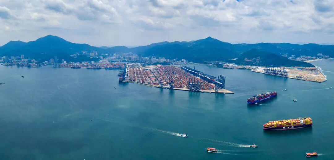盐田国际供图2.jpg