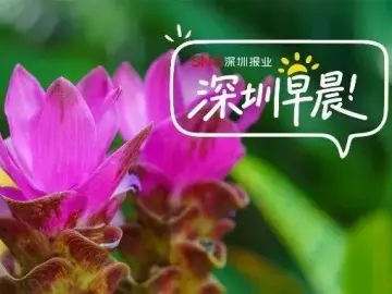 深圳早晨〔2026.09.14〕