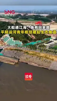 大船通江海，鱼有回家路！平陆运河青年枢纽建起生态鱼道