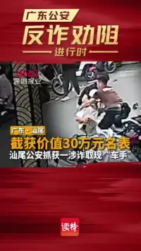 截获价值30万元名表，广东汕尾公安抓获一涉诈取现“车手”