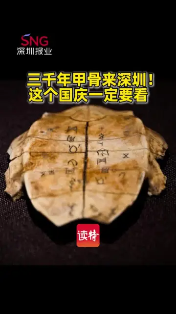 三千年甲骨来深圳！这个国庆一定要看