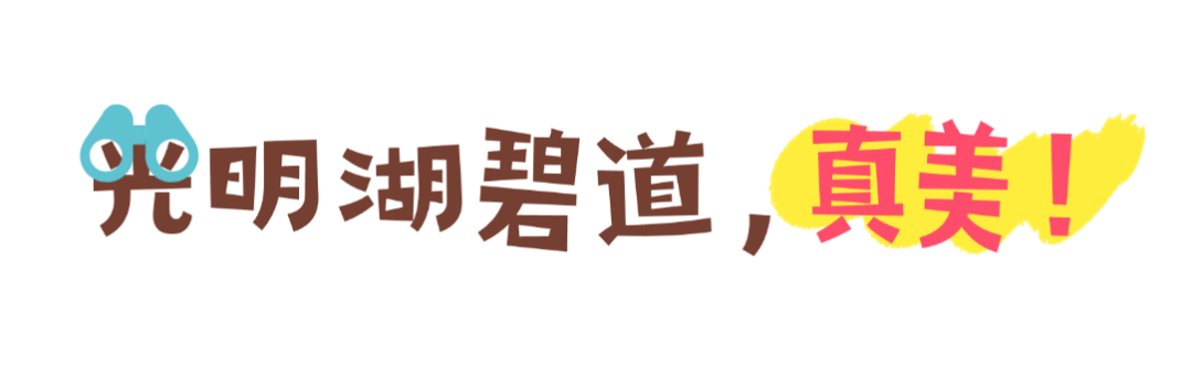 02.png