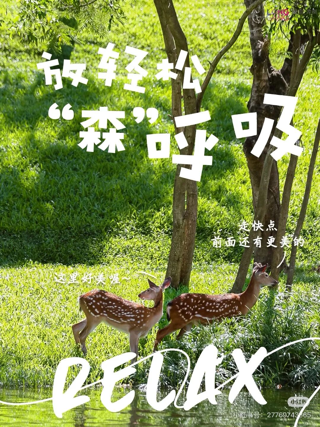 微信图片_20260930120744_881_12.jpg