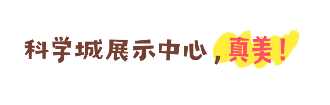 03.png