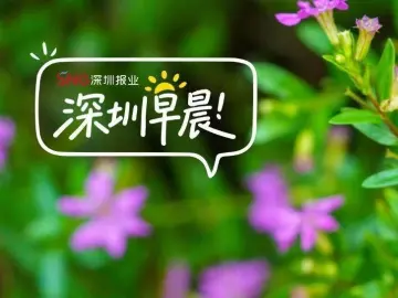 深圳早晨〔2026.10.08〕