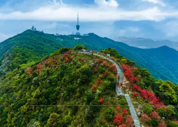 站在山顶看飞机 | 人文天地·南海潮