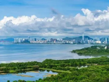 听东纵的故事 | 人文天地·南海潮